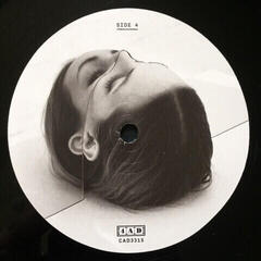 Hanglemez The National - Trouble Will Find Me (2 LP) - 5