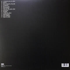 Hanglemez The National - Trouble Will Find Me (2 LP) - 6