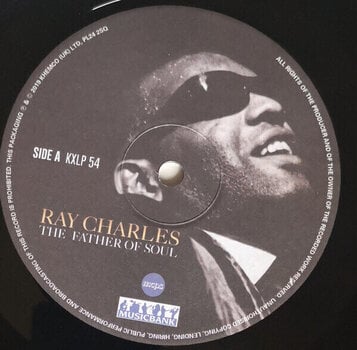 Vinyl Record Ray Charles - Father of Soul (180 g) (LP) - 2