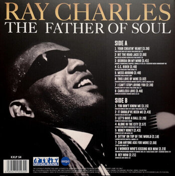 Vinyl Record Ray Charles - Father of Soul (180 g) (LP) - 5