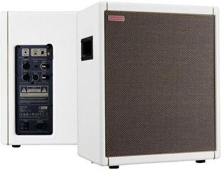 Gitár hangláda Positive Grid Spark CAB Gitár hangláda - 2