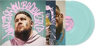Disque vinyle Rag'n'Bone Man - What Do You Believe In? (Transparent Coke Bottle Green Coloured) (2 LP) - 1
