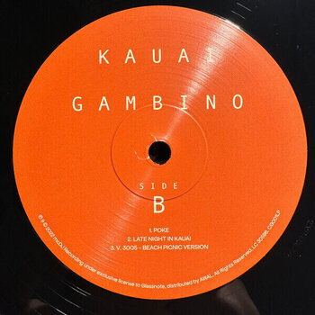 Disc de vinil Childish Gambino - Kauai (LP) - 3