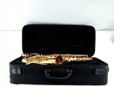 Alto saxophone Schagerl A-900L Alto saxophone (Pre-owned) - 2