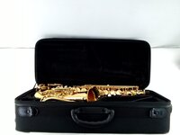 Schagerl A-900L Alto saxophone