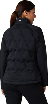 Chaqueta impermeable Callaway Chev Primaloft Caviar L Chaqueta impermeable - 4