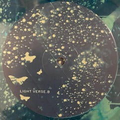 Vinyl Record Iron and Wine - Light Verse (Blue Speckled Coloured) (LP) - 3