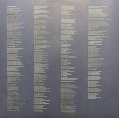 Vinyl Record Iron and Wine - Light Verse (Blue Speckled Coloured) (LP) - 5