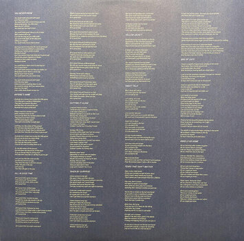 Hanglemez Iron and Wine - Light Verse (Blue Speckled Coloured) (LP) - 6