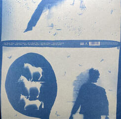 Vinyl Record Iron and Wine - Light Verse (Blue Speckled Coloured) (LP) - 6