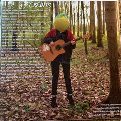 LP ploča Cavetown - Lemon Boy (Green Coloured) (12" Vinyl) - 3