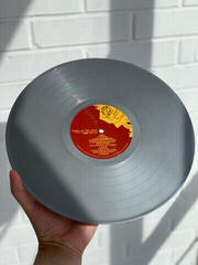 Schallplatte Panic! At The Disco - Fever That You Can't Sweat Out (Anniversary Edition) (Silver Coloured) (LP) - 1