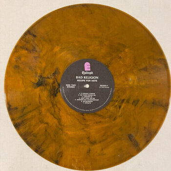 Schallplatte Bad Religion - Recipe For Hate (Anniversary Edition) (Tigers Eye Translucent Coloured) (LP) - 3