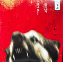 LP platňa Bad Religion - Recipe For Hate (Anniversary Edition) (Tigers Eye Translucent Coloured) (LP) - 5