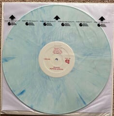 LP ploča Beach Fossils - Bunny (Powder Blue Coloured) (LP) - 1