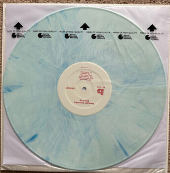 Vinyl Record Beach Fossils - Bunny (Powder Blue Coloured) (LP) - 2