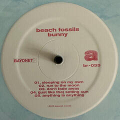 LP ploča Beach Fossils - Bunny (Powder Blue Coloured) (LP) - 2