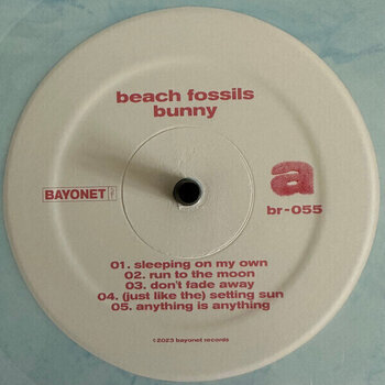 Vinyl Record Beach Fossils - Bunny (Powder Blue Coloured) (LP) - 3