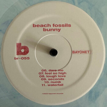 Vinyl Record Beach Fossils - Bunny (Powder Blue Coloured) (LP) - 4