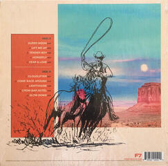 LP Dirty Heads - Super Moon (LP) - 3