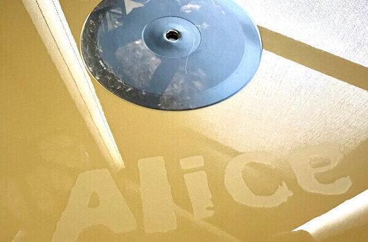 Vinyl Record Tom Waits - Alice (180 g) (Anniversary Edition) (Metallic Gold Coloured) (2 LP) - 7