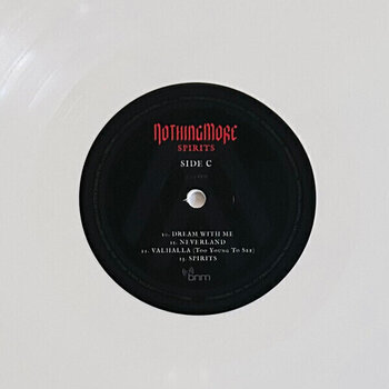 Vinyl Record Nothing More - Spirits (180 g) (White Coloured) (2 LP) - 5