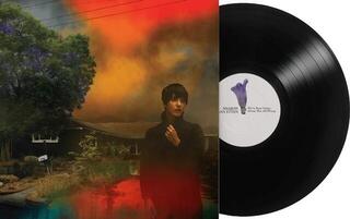 LP ploča Sharon Van Etten - We've Been Going About This All Wrong (LP) - 1