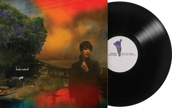 Disco de vinilo Sharon Van Etten - We've Been Going About This All Wrong (LP) - 2