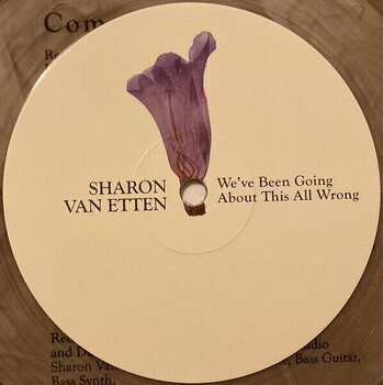 Disc de vinil Sharon Van Etten - We've Been Going About This All Wrong (Marbled Smoke Coloured) (LP) - 3