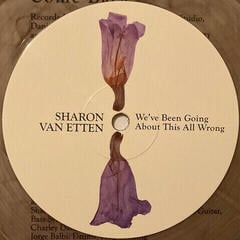 LP ploča Sharon Van Etten - We've Been Going About This All Wrong (Marbled Smoke Coloured) (LP) - 3