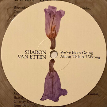 Vinyylilevy Sharon Van Etten - We've Been Going About This All Wrong (Marbled Smoke Coloured) (LP) - 4