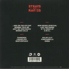 Hanglemez Earthgang - Strays With Rabies (Ghostly Clear + Cobalt & Neon Coral Coloured) (2 LP) - 6