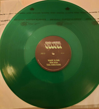 Schallplatte Adam Lambert - Velvet (Purple/Green Coloured) (2 LP) - 5