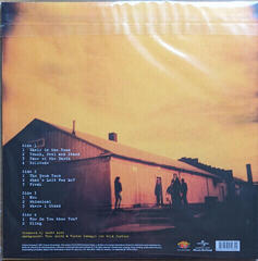 LP ploča Days Of The New - Days Of The New (180 g) (2 LP) - 5