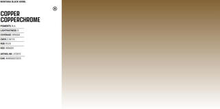 Spuitverf Montana Cans Black Spuitverf Copper Copperchrome 400 ml 1 st. - 2