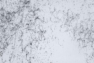 Sprühfarbe Montana Cans 53.6201 Sprühfarbe EM9100 Black 400 ml 1 stk - 4