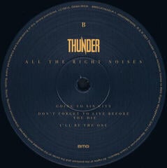 Schallplatte Thunder - All The Right Noises (2 LP) - 2