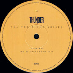 Schallplatte Thunder - All The Right Noises (2 LP) - 3