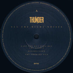 Schallplatte Thunder - All The Right Noises (2 LP) - 1