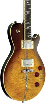 E-Gitarre Michael Kelly Patriot Instinct SB Mod Shop Duncan Scorched E-Gitarre - 5