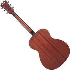 Sonstige Elektro-Akustikgitarren D'Angelico Premier Tammany LS Natural Mahogany Satin Sonstige Elektro-Akustikgitarren - 1