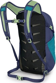 Lifestyle Σακίδιο Πλάτης / Τσάντα Osprey Daylite Blue Spikemoss/Alkaline 13 L Σακίδιο - 3