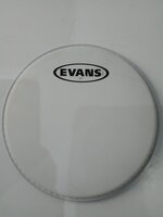 Evans B08G1 G1 Coated 8" Față de tobă