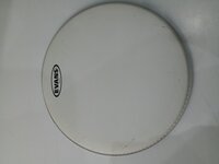 Evans B13GEN Genera Coated 13" Ντραμ Head