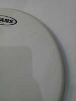 Evans B13GEN Genera Coated 13" Pelli Batteria