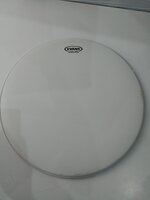 Evans B18G1 G1 Coated 18" Drumvel