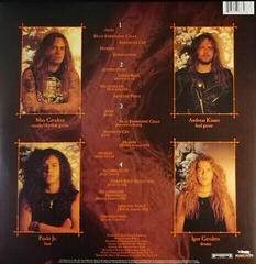 Płyta winylowa Sepultura - Arise (Reissue) (Remastered) (LP) - 5