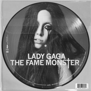 Płyta winylowa Lady Gaga - The Fame Monster (Picture Disc) (LP) - 4