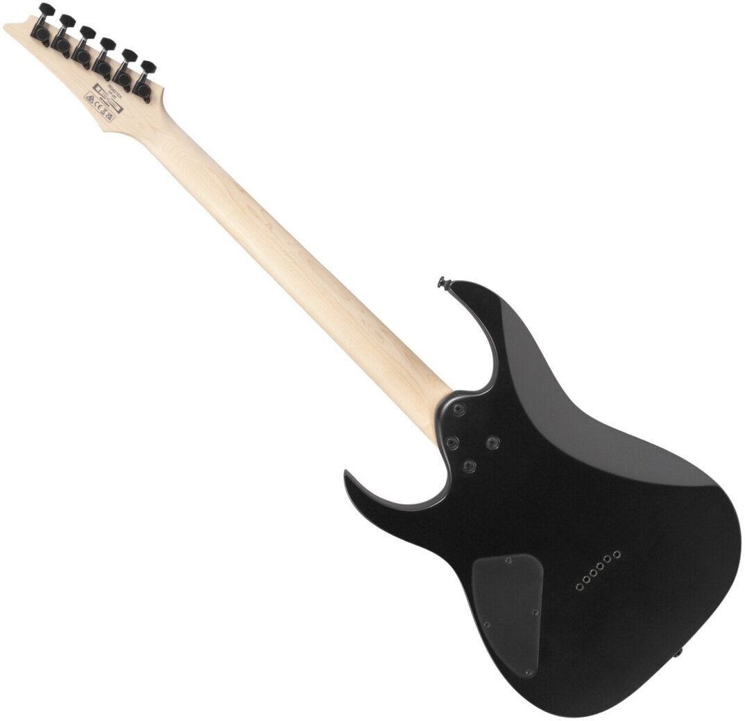 Ibanez RG421EX-BKF Black Flat Electric guitar - Muziker