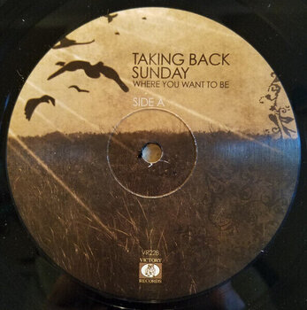 Disco in vinile Taking Back Sunday Where You Want to Be (LP) - 2